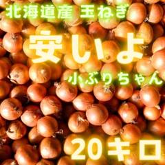 た〜っぷり　玉ねぎ　20キロ 使い切りサイズ20 た〜っぷり玉ねぎ20キロ 使い切りサイズ20