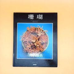 珊瑚 バシリオリベリーノ アナリジ社 珊瑚 バシリオリベリーノ アナリジ社 - メルカリ