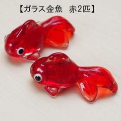 金魚 1匹 水槽の中古 未使用品 メルカリ