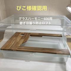 m93805822635_1.jpg?1714790964