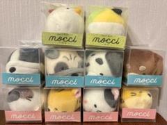 新品10個セット★てのひらモッチmocci まにあっく 2025年最新】てのひらモッチの人気アイテム - メルカリ