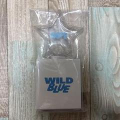 WILD BULE ペンライト wildblue　TheFirstLight WILD BLUE DEBUT SHOWCASE ［The First Light］グッズの
