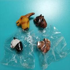 アニマルリングコレクション