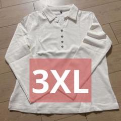 長袖ポロシャツ レディース 無地 3XL