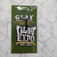 GLAY EXPO缶 2025 一部 銀テープ付 腕章 リストバンド　カップ他 商品詳細ページ | G-DIRECT