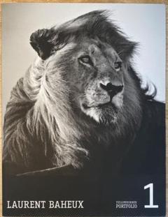 YELLOWKORNERフォトアート「CARA LION」 CARA LION, Tattoo, I'M NOT A TROPHY · Art photographs