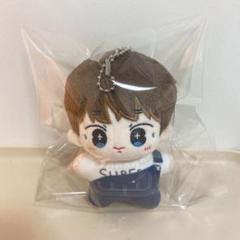 BTS ジン　ぬいぐるみ　5cm 新品　マスター お得】 BTS マスター ぬいぐるみ 巨大ハムチニ ジン ぬいぐるみ