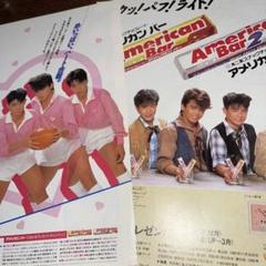 希少！非売品！！ 光GENJIエスキモーバインダー