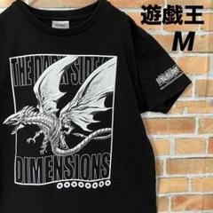 m93864180408_1.jpg?1720157840