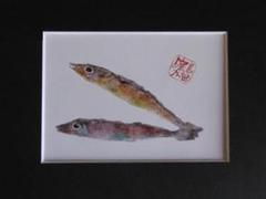 片岡鶴太郎、【枝豆】、希少な額装用画集より、美品、日本人画家