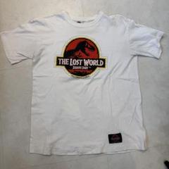 映画ロストワールド、ビンテージビッグＴシャツ 専用 90s 映画 THE LOST WORLD Tシャツ ザ・ロストワールド