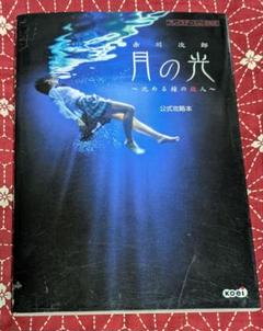 PS2 赤川次郎 月の光 ～沈める鐘の殺人～ 公式攻略本 メガロマニア＆コーエ