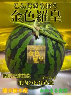 激甘！金色羅皇 熊本産 スイカMサイズ1玉5〜6k かめまる食堂