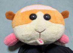 3個　プイプイモルカー テディぬいぐるみ　ほっこりいやされ めちゃでか でっかい 2025年最新】ほっこりいやされ モルカーの人気アイテム - メルカリ