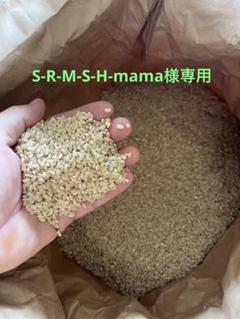 農家直送規格外米 令和5年産コシヒカリ 30キロ玄米 - メルカリ