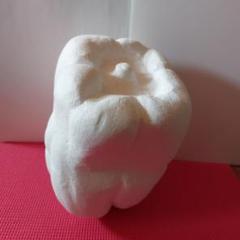 発泡スチロールのピーマン