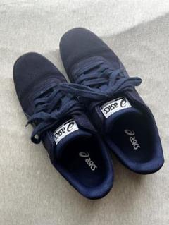 新品asics VICKKA EX-ALPHA27.0 BK/BK ASICS SKATEBOARDING アシックス スケートボーディング メンズ