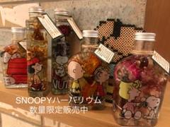 SNOOPYハーバリウム 限定販売中。