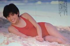 酒井法子　超大量　240P ファイル　4冊　切り抜き　1986年〜1996年