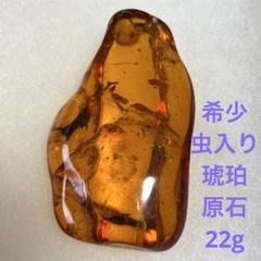 希少　大きいサイズ　虫入り琥珀　アンバー　天然樹脂　原石　22g