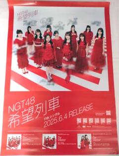 【10】激レア　家なき子 ポスター 405ポスター】雛形あきこ 揺れる恋乙女色 ヒナ・コレ B2判 美しき