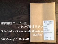 自家焙煎 コーヒー豆 エルサルバドル