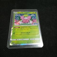 シェイミ：ポケモンセンター20周年記念キャンペーン PROMO SM-Pプロモ