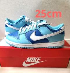 Nike Dunk Low Retro QS "Argon" (2022)のサムネイル