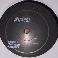激レア12inch Audiofly - 6 Degrees