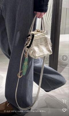 framework MARCO MASI mini shoulder バッグ