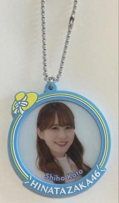 日向坂46 ローソン ラバーキーホルダー　まとめ 駿河屋 -<中古>全22種セット 日向坂46 個別ラバーキーホルダー