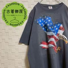 フルーツオブザルーム USAモチーフ Tシャツ 鷲 星条旗 自由の女神 XL