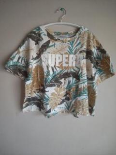 ブラウニー　ショート丈Tシャツ