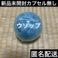 2025年最新】ワンピの実まとめ売りの人気アイテム - メルカリ