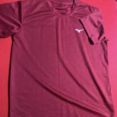 新品未使用 Mizuno 健康マラソン Tシャツ レディースフリーサイズ