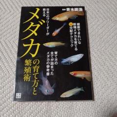 青木繁、【月下滞船】、豪華・希少画集画、新品高級額・額装付、状態良好 Yahoo!オークション - 青木 繁 月下滞船図 希少・限定画集画より