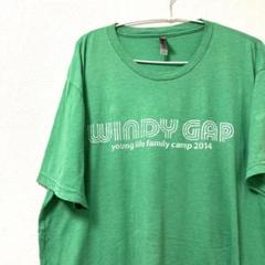 NEXT LEVEL ヴィンテージ　メンズ　Tシャツ　グリーン　XL プリント