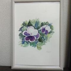 絵画　パンジー Yahoo!オークション -「pansy(パンジー)」(油彩) (絵画)の落札