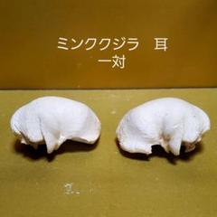 鯨耳ミンククジラ耳一対