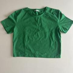 ZARA グリーン 半袖Tシャツ Lサイズのサムネイル