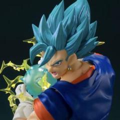 2025年最新】s.h.figuarts ドラゴンボール ベジットの人気