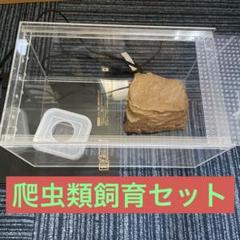 2025年最新】爬虫類飼育セットの人気アイテム - メルカリ 2025年最新】爬虫類飼育セットの人気アイテム - メルカリ
