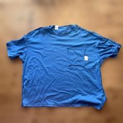 N.HOOLYWOOD × SUNSPEL Tシャツ カットソー L