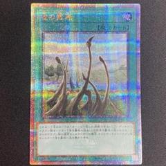 B6273 遊戯王 大量セット 竜の霊廟 200枚