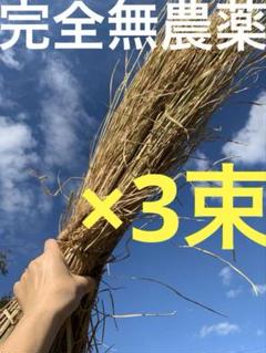 稲藁 4-1》稲藁（稲わら）10束の通販 by TAKじい's shop｜ラクマ
