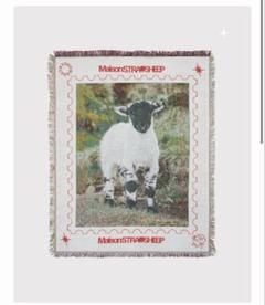 【新品・未使用品】MAISONSTRAYSHEEP RUG GREEN ラグ STRAYSHEEP RUG GREEN
