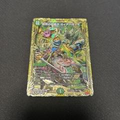自然の四君子　ガイアハザード　b