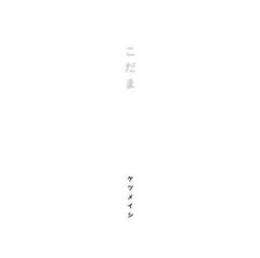 【新品 未開封】こだま / ケツメイシ / CD / ハガネの女season2