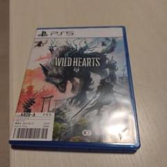 WILD HEARTS PS5