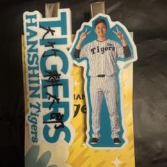 阪神タイガース タオル 大竹 大竹耕太郎 選手フォトタオル 背